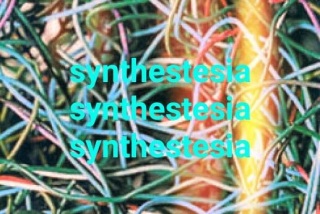 ATA-Synthestesia_12-1-2017
